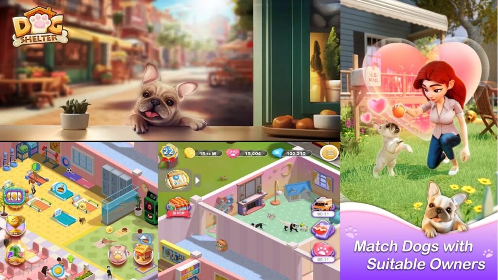 Pet Haven: Risolvi Misteri e Gestisci un Rifugio per Cani in Questo Nuovo Gioco