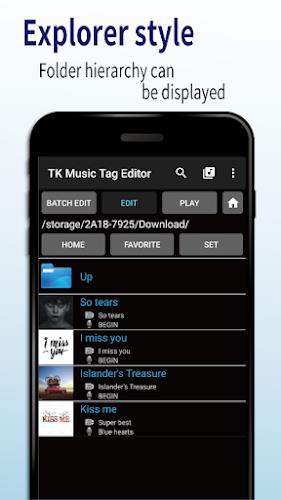 TK Music Tag Editor Captura de pantalla 3