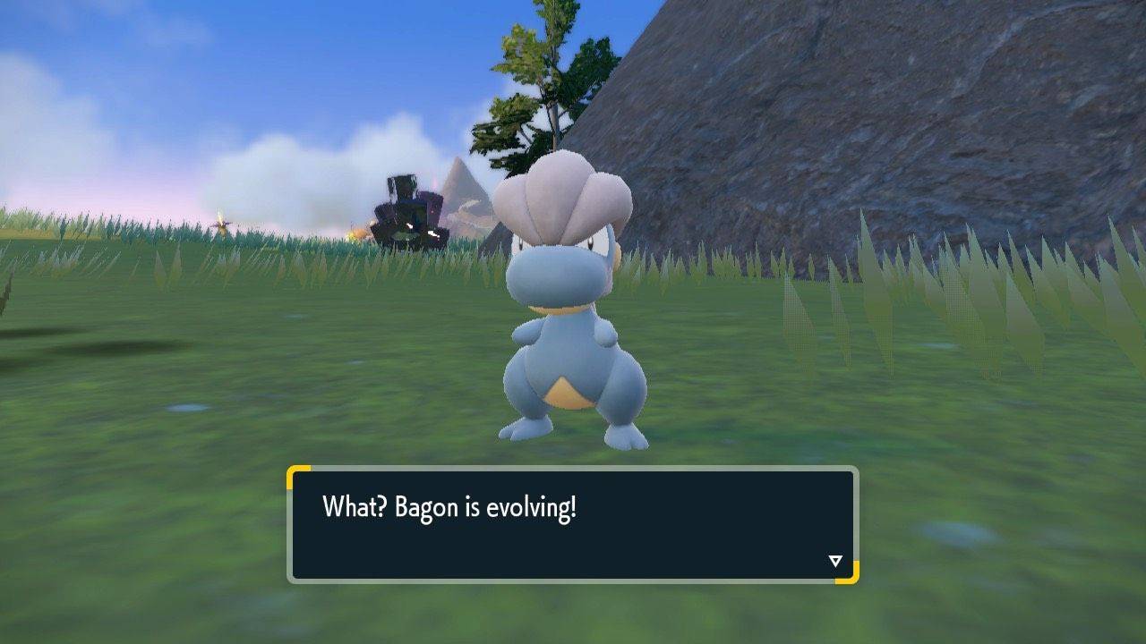 Evoluzione del bagon