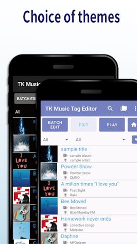 TK Music Tag Editor Captura de pantalla 2