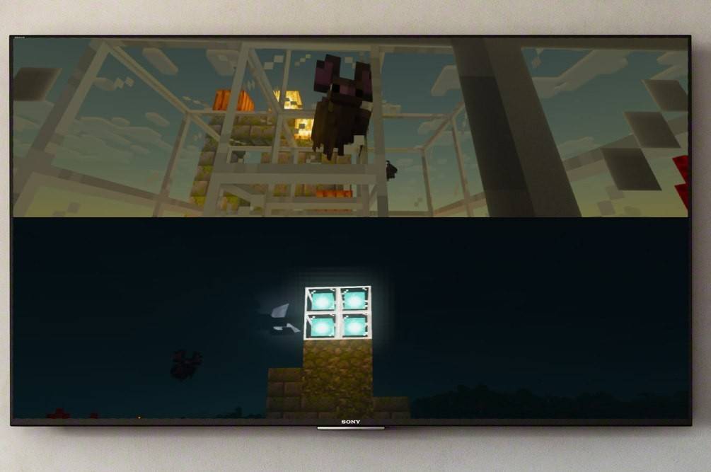 Minecraft အပေါ် Splitscreen