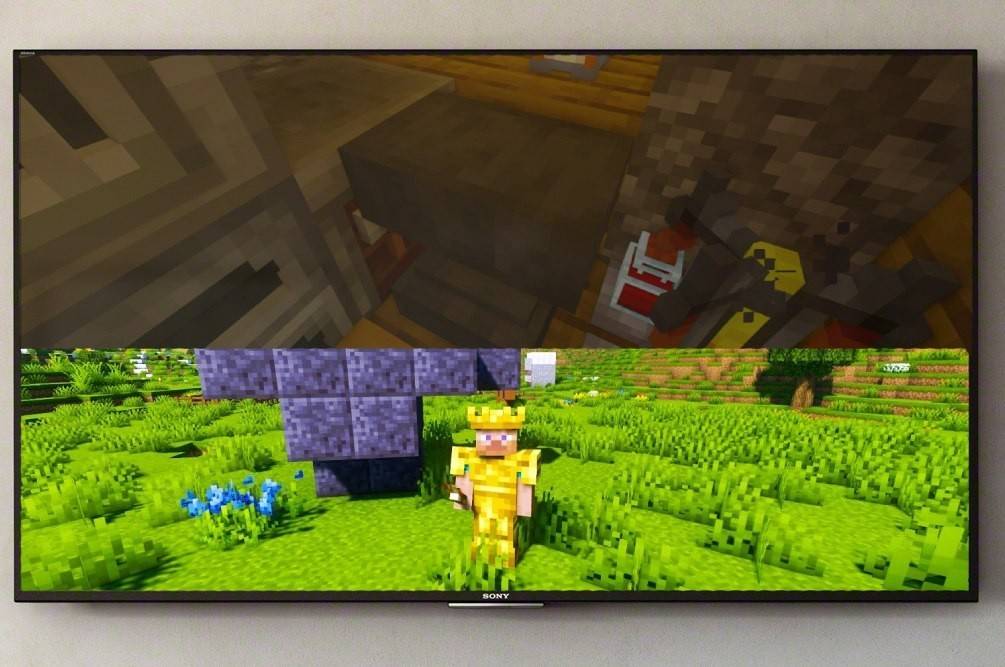 Minecraft အပေါ် Splitscreen