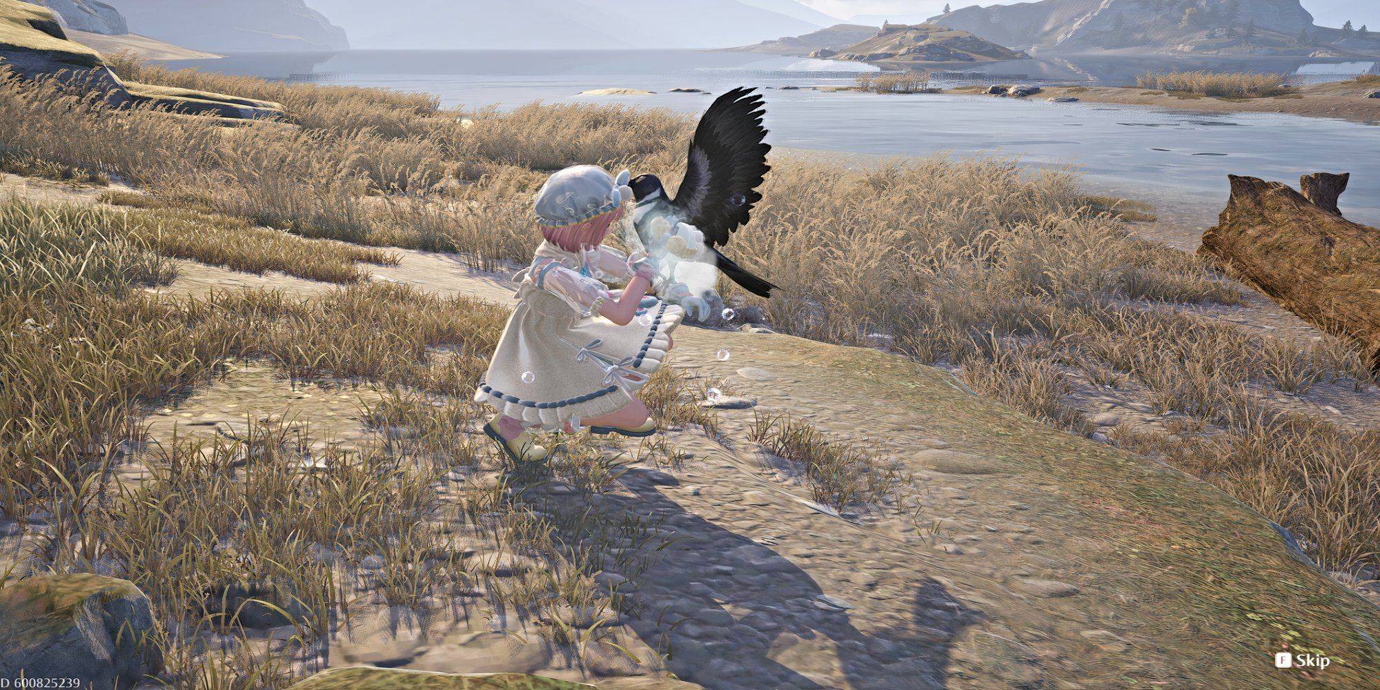 Celebcrow的位置